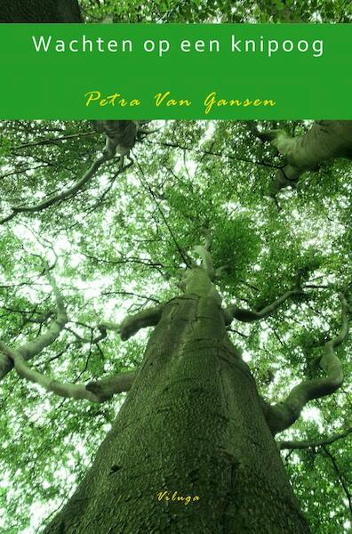 Wachten op een knipoog - Petra Van Gansen (ISBN 9789402195651)