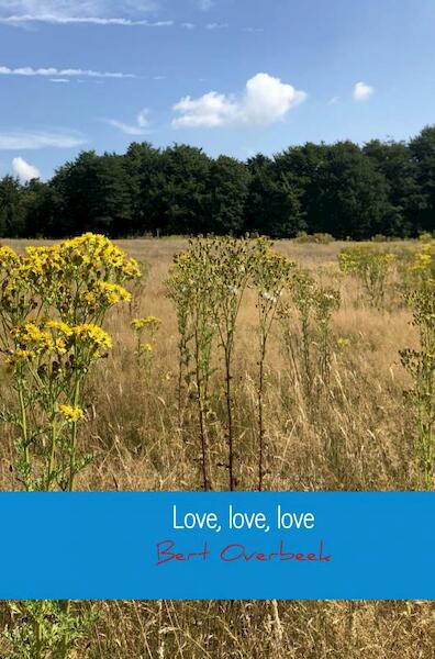 Love, love, love - Bert Overbeek (ISBN 9789463865005)