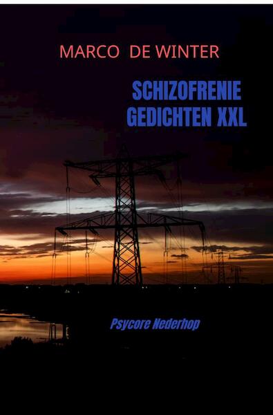 Psychiatrische Nederhop - Marco de Winter (ISBN 9789464051834)
