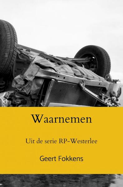 Waarnemen - Geert Fokkens (ISBN 9789464485639)