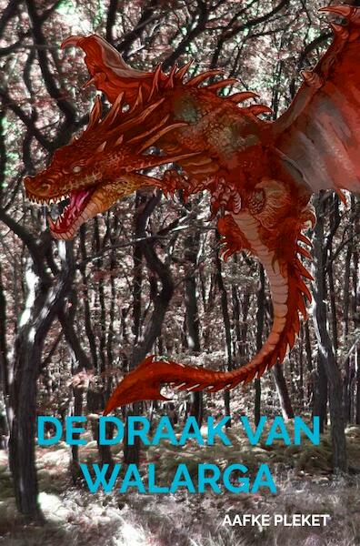 De draak van Walarga - Aafke Pleket (ISBN 9789464489781)