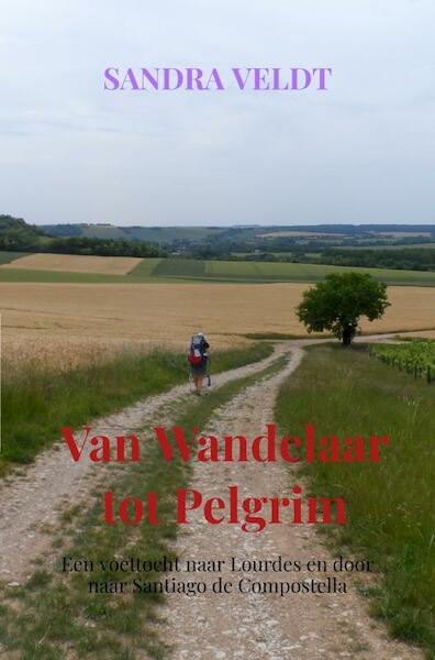 Van Wandelaar tot Pelgrim - Sandra Veldt (ISBN 9789464481495)