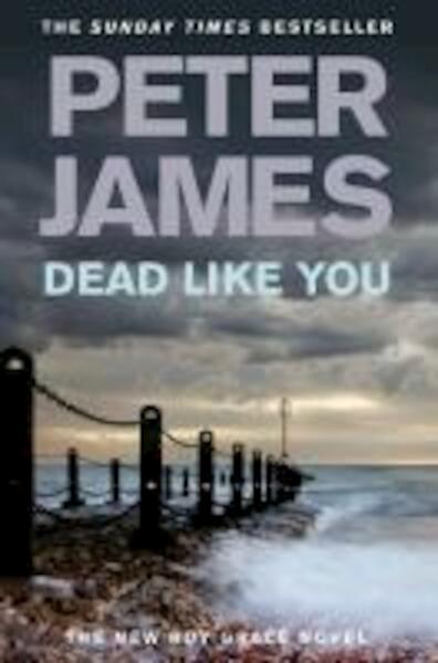 Dead Like You - Peter James (ISBN 9780330520508)
