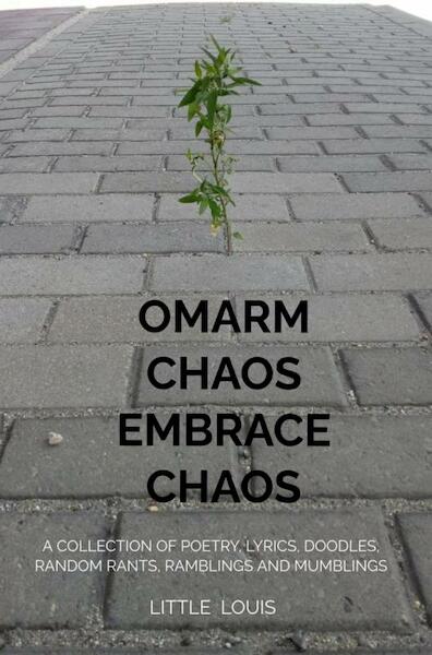 Embrace Chaos - Omarm Chaos - Louis van Empel (ISBN 9789403662695)