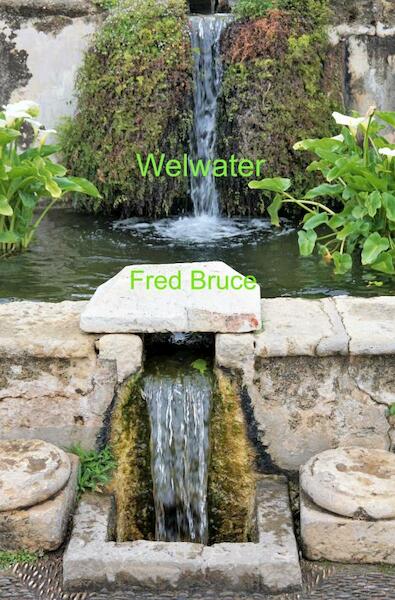 Welwater - Fred Bruce (ISBN 9789464651423)