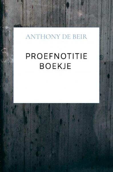 Proefnotitie Boekje - Anthony De Beir (ISBN 9789464652741)