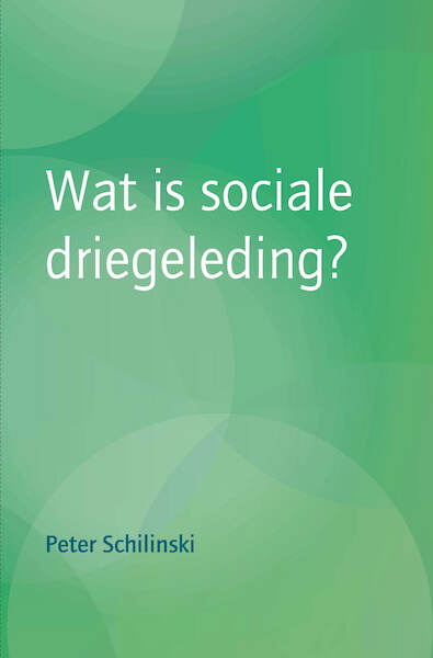 Wat is sociale driegeleding? - Peter Schilinski (ISBN 9789492326843)