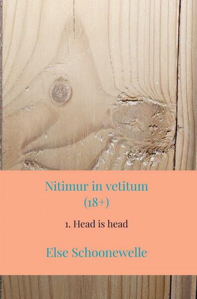 Nitimur in vetitum - Else Schoonewelle (ISBN 9789464659733)