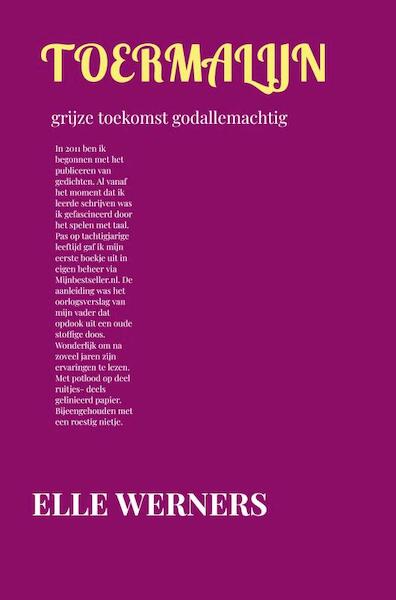 TOERMALIJN - Elle Werners (ISBN 9789464856804)