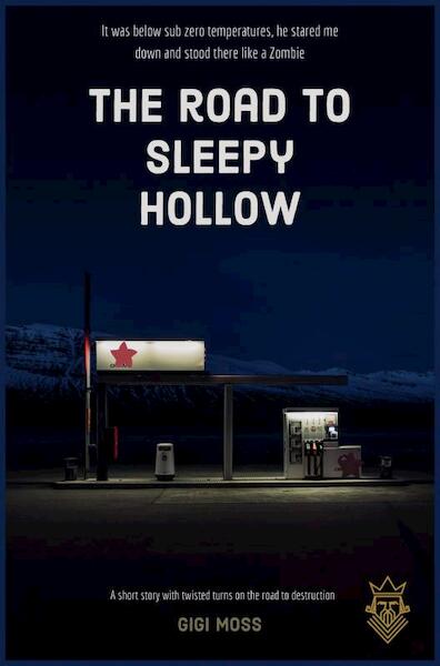 The Road to Sleepy Hollow - Gigi Moss (ISBN 9789464808803)