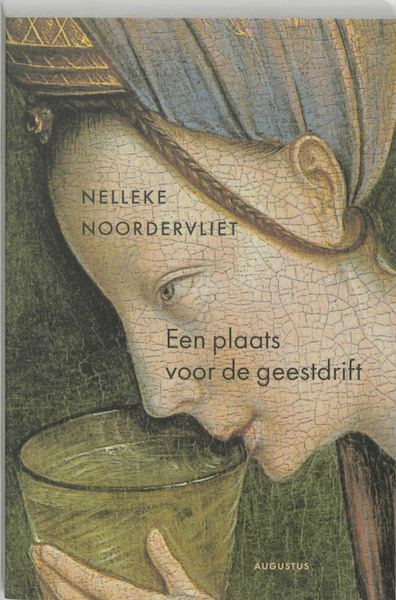 Een plaats voor de geestdrift - Nelleke Noordervliet (ISBN 9789045703022)