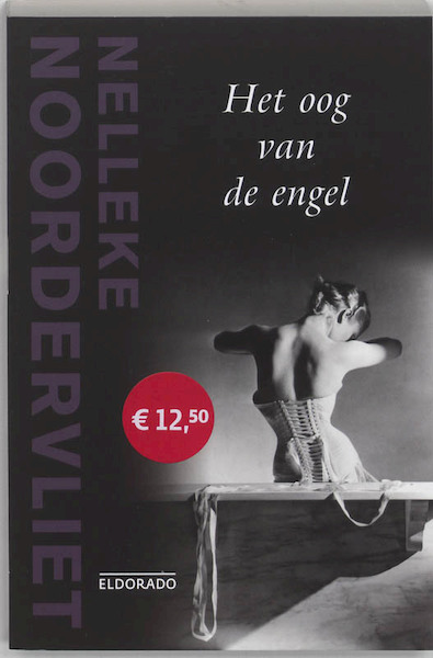Oog van de engel - Nelleke Noordervliet (ISBN 9789047100812)