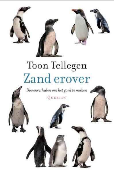 Zand erover - Toon Tellegen (ISBN 9789021446097)