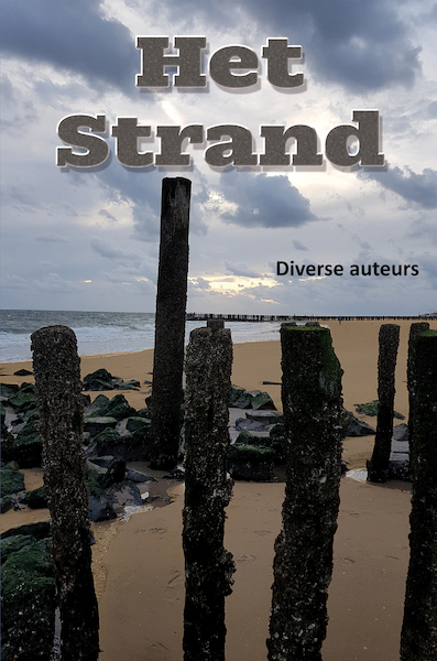 Het strand - Jeany Bijloo (ISBN 9789462666795)