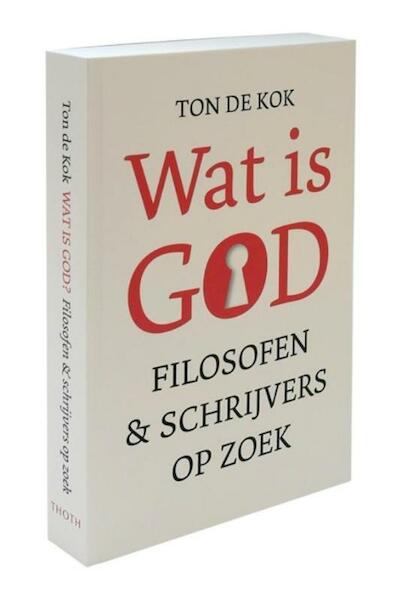 Wat is God - Ton de Kok (ISBN 9789068686333)