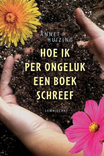 Hoe ik per ongeluk een boek schreef - Annet Huizing (ISBN 9789047701590)
