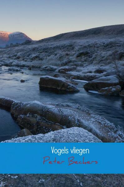 Vogels vliegen - Peter Beckers (ISBN 9789462542860)