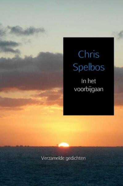 In het voorbijgaan - Chris Spelbos (ISBN 9789463184595)