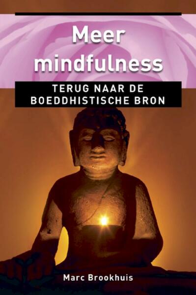 Meer mindfulness - Marc Brookhuis (ISBN 9789020204681)