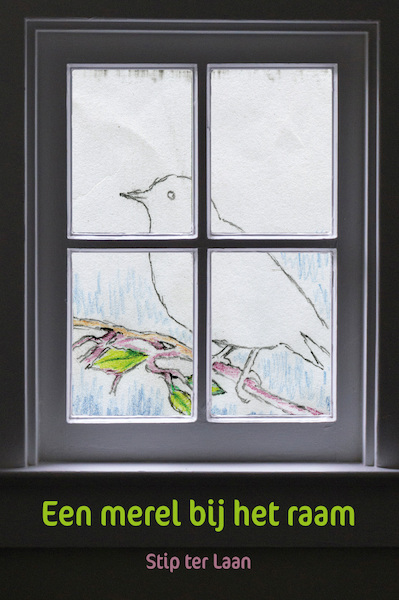 Een merel bij het raam - Stip ter Laan (ISBN 9789492421074)