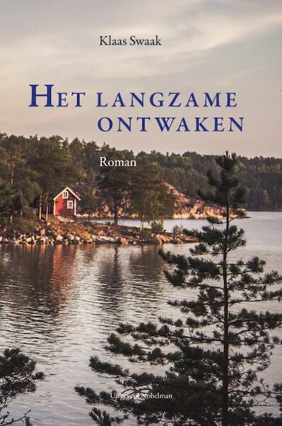 Het langzame ontwaken - Klaas Swaak (ISBN 9789491737534)