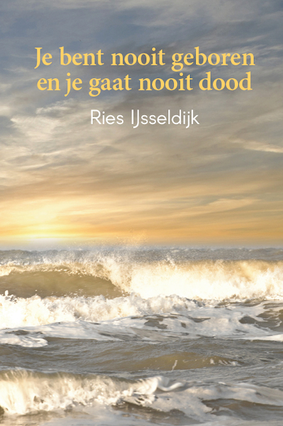 Je bent nooit geboren en je gaat nooit dood - Ries IJsseldijk (ISBN 9789461013729)