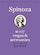 Spinoza in 107 vragen en antwoorden