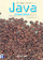 En dan is er Java Java 6 met Swing