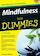 Mindfulness voor Dummies