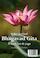 Bhagavad Gita - It liet fan God - Het lied van God