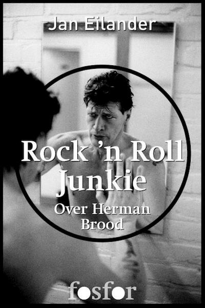 Rock n Roll Junkie - Jan Eilander, Martin Bril (ISBN 9789462250314)