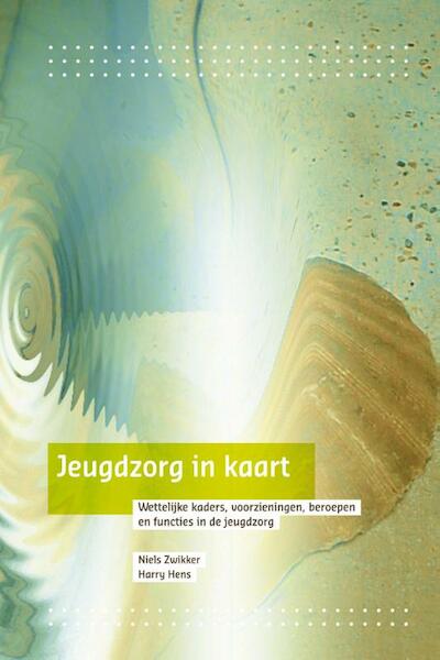 Jeugdzorg in kaart - Niels Zwikker, Harry Hens (ISBN 9789088504525)