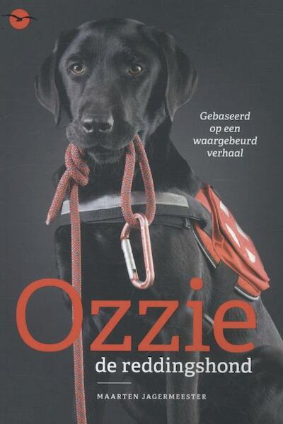 Ozzie, de reddingshond - Maarten Jagermeester (ISBN 9789057205019)