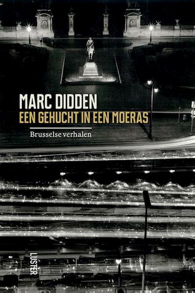 Een gehucht in een moeras - Marc Didden (ISBN 9789460581182)