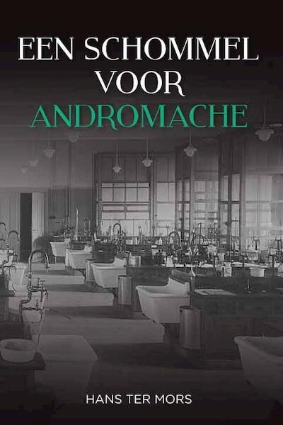 Een schommel voor Andromache - Hans ter Mors (ISBN 9789051798982)