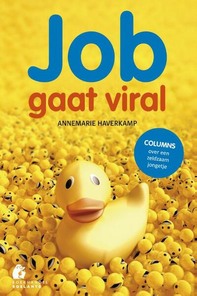 Job gaat viral - Annemarie Haverkamp (ISBN 9789074241373)