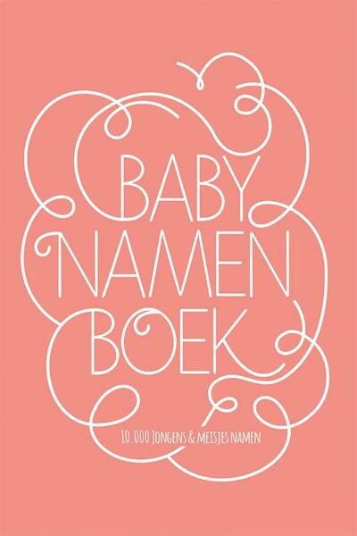 Babynamenboek - (ISBN 9789045320595)
