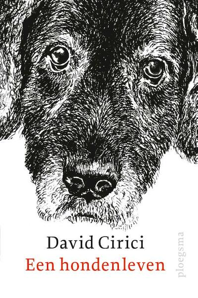 Een hondenleven - David Cirici, Gerard de Viet (ISBN 9789021677958)