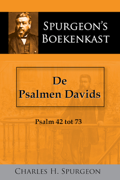De Psalmen Davids 2 - C.H. Spurgeon (ISBN 9789057194832)