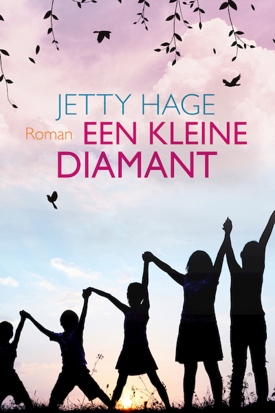 Een kleine diamant - Jetty Hage (ISBN 9789020537444)