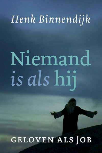 Niemand is als hij - Henk Binnendijk (ISBN 9789043537155)