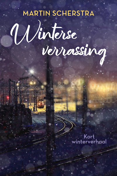 Winterse verrassing - Martin Scherstra (ISBN 9789020548846)
