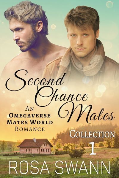 Second Chance Mates Collection 1 - Rosa Swann (ISBN 9789493139480)