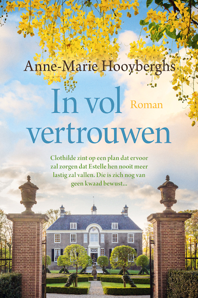 In vol vertrouwen - Anne-Marie Hooyberghs (ISBN 9789020544749)