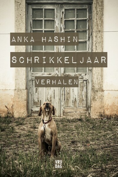 Schrikkeljaar - Anka Hashin (ISBN 9789464341331)