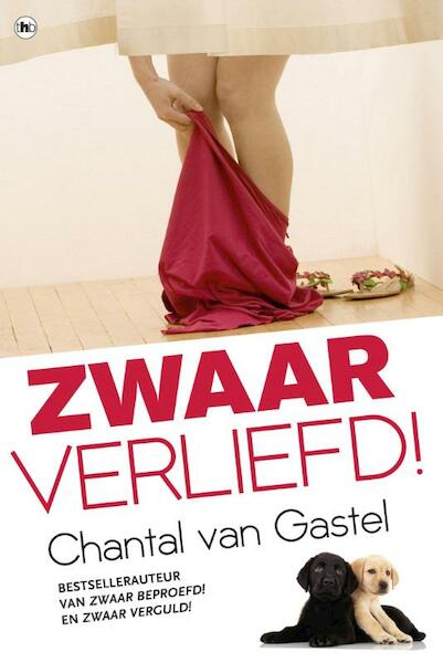 Zwaar verliefd - Chantal van Gastel (ISBN 9789044343373)