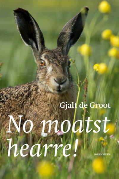 No moatst hearre! - Gjalt de Groot (ISBN 9789056153014)
