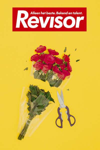 Revisor 19 - (ISBN 9789403125107)