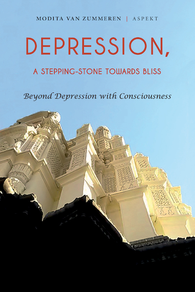 Depression - Modita van Zummeren (ISBN 9789463385152)