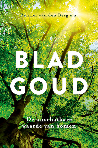 Bladgoud - Reinier van den Berg, Simone Groenendijk, Suzanne Valkman (ISBN 9789493198104)
